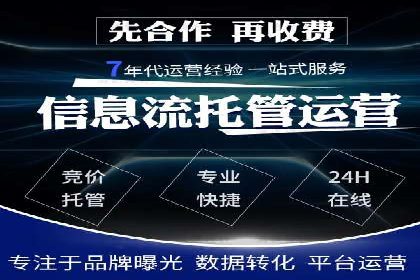 大型企业SEM外包实战案例